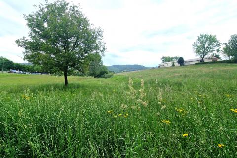 Building plot Centar, Pazin, 7.500m2