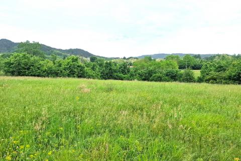 Building plot Centar, Pazin, 7.500m2