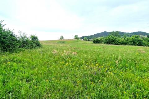 Building plot Centar, Pazin, 7.500m2