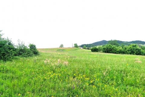 Building plot Centar, Pazin, 7.500m2