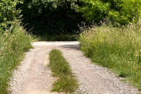 Stavbno zemljišče Maružini, Kanfanar, 3.292m2