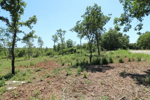 VIŠNJAN, okolica- građevinsko zemljište 2232 m2