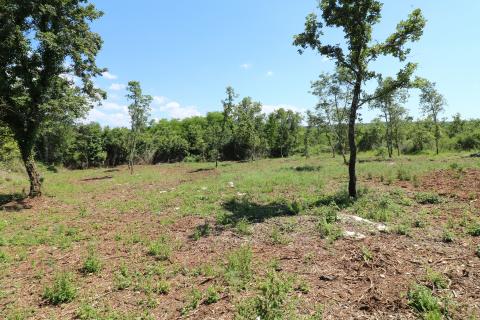 VIŠNJAN, okolica- građevinsko zemljište 2232 m2