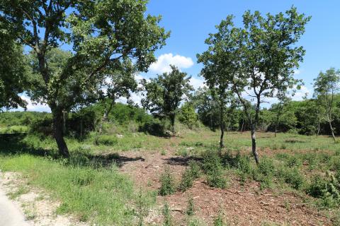 VIŠNJAN, okolica- građevinsko zemljište 2232 m2