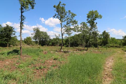 VIŠNJAN, okolica- građevinsko zemljište 2232 m2