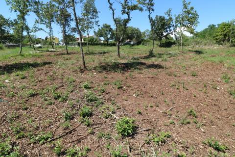 VIŠNJAN, okolica- građevinsko zemljište 2232 m2