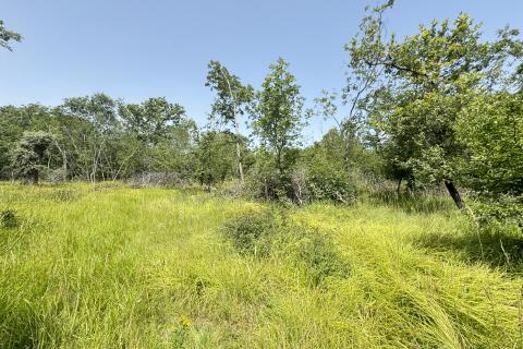 Otok Krk, okolica Vrbnika - poljoprivredno zemljište 7500m2 