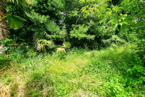 Condo/Apartment Opatija, 59,08m2