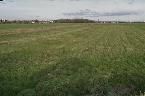 Brezovica, Poljoprivredno zemljište 5.882 m2