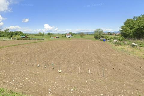 Building plot Kupinečki Kraljevec, Brezovica, 1.859m2