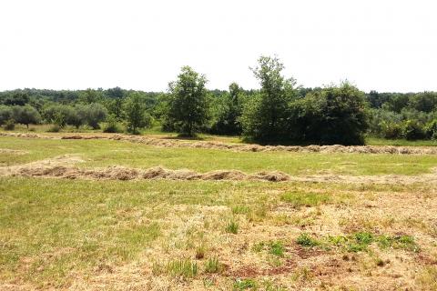 Umag - rubni građevinski teren, 2 km od mora