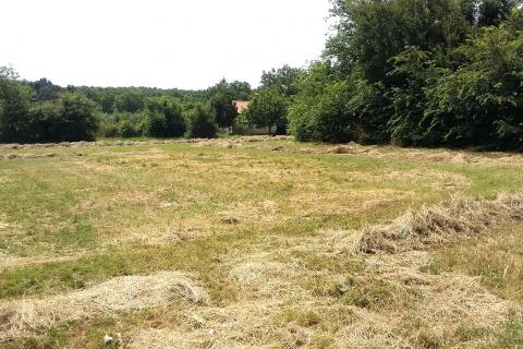 Umag - rubni građevinski teren, 2 km od mora