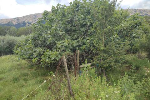 Земельный участок нестроительного назначения Baška, 300m2