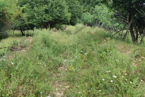 Земельный участок нестроительного назначения Baška, 300m2