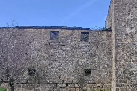 Istra, Momjan - autohtona starina