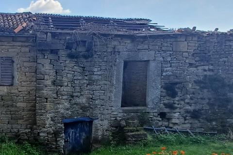 Istra, Momjan - autohtona starina