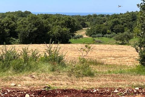 Istra, Novigrad - građevinsko zemljište s pogledom na more