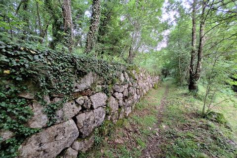 Building plot Veprinac, Opatija - Okolica, 1.205m2