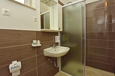 Istra, Poreč, apartmanska kuća s 5 stambenih jedinica i bazenom