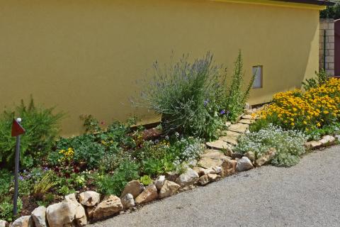 Istra, Poreč, apartmanska kuća s 5 stambenih jedinica i bazenom