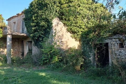 GRAČIŠĆE, okolica - stara kamena kuća sa 6880 m2 dvorišta