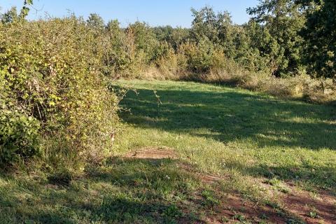 GRAČIŠĆE, okolica - stara kamena kuća sa 6880 m2 dvorišta