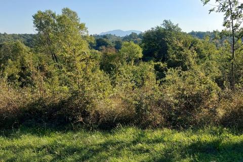 GRAČIŠĆE, okolica - stara kamena kuća sa 6880 m2 dvorišta