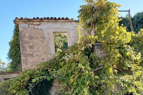 GRAČIŠĆE, okolica - stara kamena kuća sa 6880 m2 dvorišta
