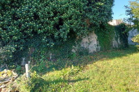 GRAČIŠĆE, okolica - stara kamena kuća sa 6880 m2 dvorišta