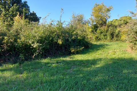 GRAČIŠĆE, okolica - stara kamena kuća sa 6880 m2 dvorišta