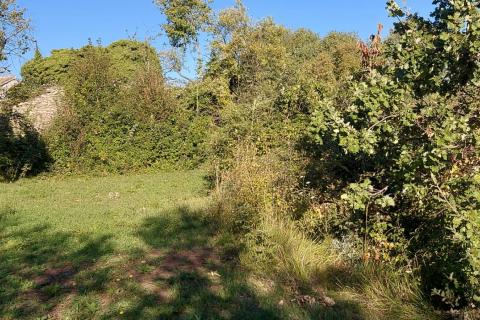 GRAČIŠĆE, okolica - stara kamena kuća sa 6880 m2 dvorišta