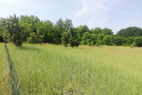 Stavbno zemljišče Baderna, Poreč, 4.527m2