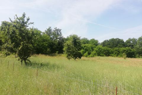 Stavbno zemljišče Baderna, Poreč, 4.527m2