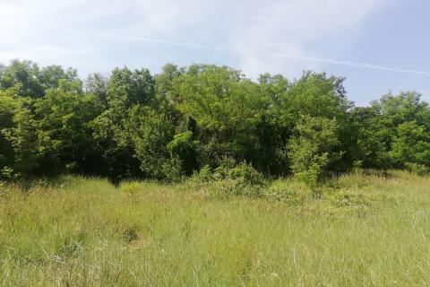 Stavbno zemljišče Baderna, Poreč, 4.527m2