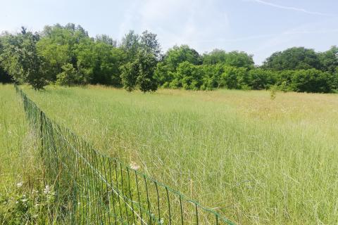 Stavbno zemljišče Baderna, Poreč, 4.527m2