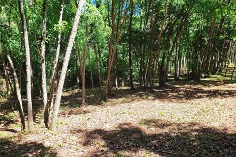 Non-structural plot Brtonigla, 7.685m2