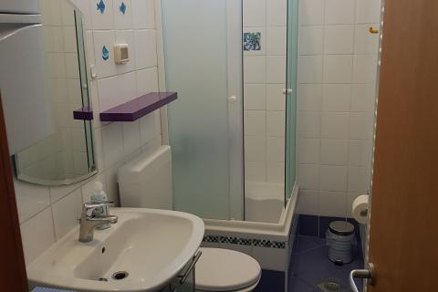 Istra, Pješčana uvala, dugoročni najam dvosobnog stana sa pogledom na more