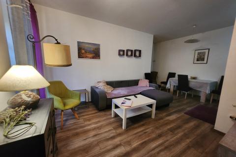 Rijeka, Centar - stan 1s+db i app u adaptiranom suterenu, u naravi 100m2  