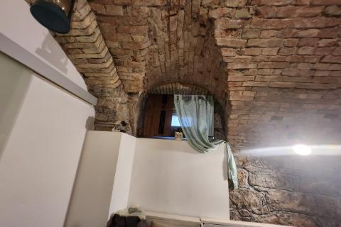 Rijeka, Centar - stan 1s+db i app u adaptiranom suterenu, u naravi 100m2  