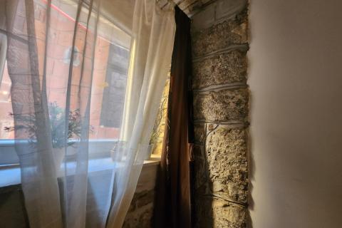 Rijeka, Centar - stan 1s+db i app u adaptiranom suterenu, u naravi 100m2  