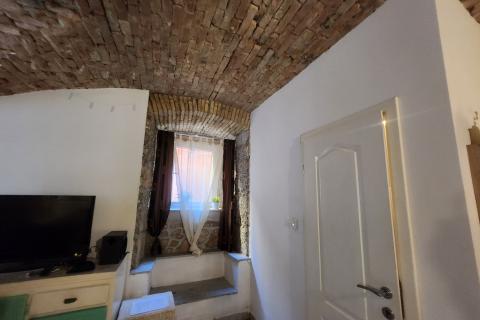 Rijeka, Centar - stan 1s+db i app u adaptiranom suterenu, u naravi 100m2  