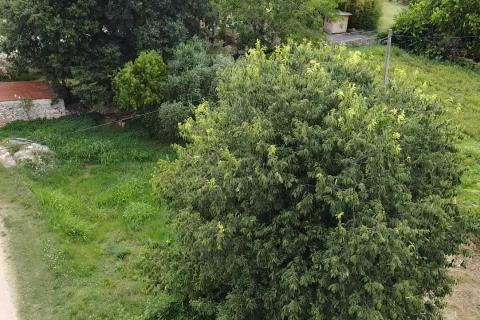 Дом Brtonigla, 100m2