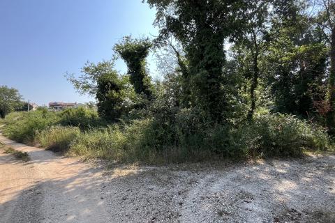 Istra, Poreč, okolica - građevinsko zemljište na rubu manjeg naselja