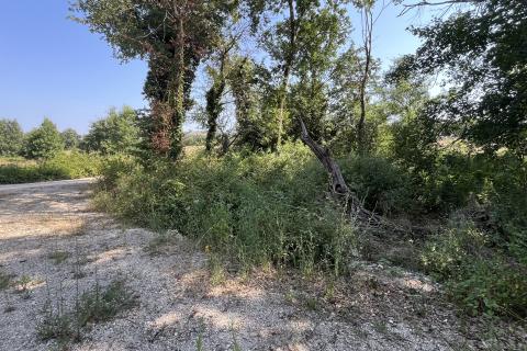 Istra, Poreč, okolica - građevinsko zemljište na rubu manjeg naselja