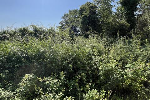 Istra, Poreč, okolica - građevinsko zemljište na rubu manjeg naselja