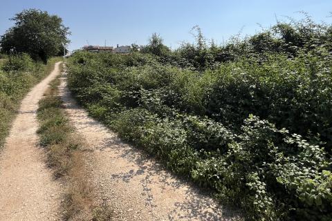 Istra, Poreč, okolica - građevinsko zemljište na rubu manjeg naselja