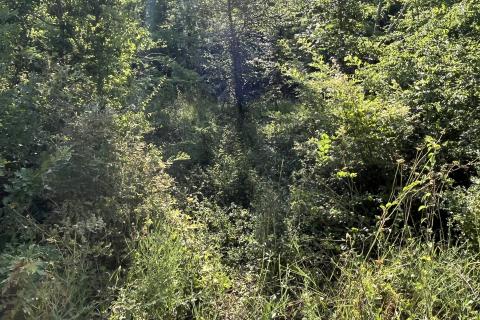 Stavbno zemljišče Delići, Sveti Lovreč, 5.119m2