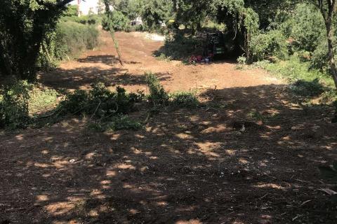 Istra,Pinezići - građevinsko zemljište