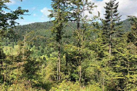 Terreno non edificabile Vrata, Fužine, 5.399m2