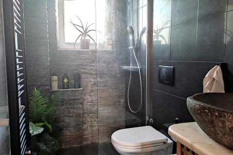 Istra,Umag,kuća sa tri stana i dvorištem!